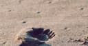 Mastering Observability: Building Resilient Node.js Applications with Tracing, Metrics, and Logging