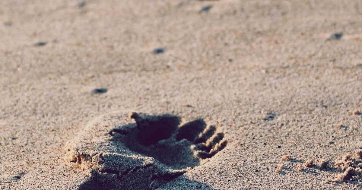 Mastering Observability: Building Resilient Node.js Applications with Tracing, Metrics, and Logging