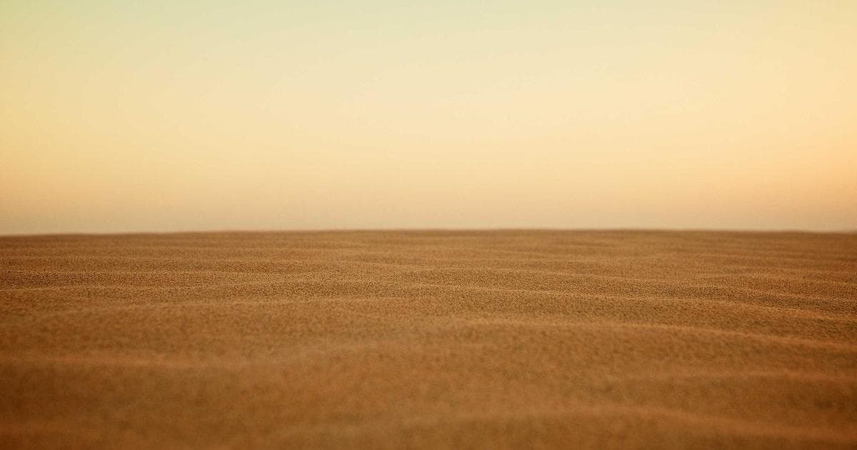 Demystifying Vector Databases: Powering Next-Gen AI Applications