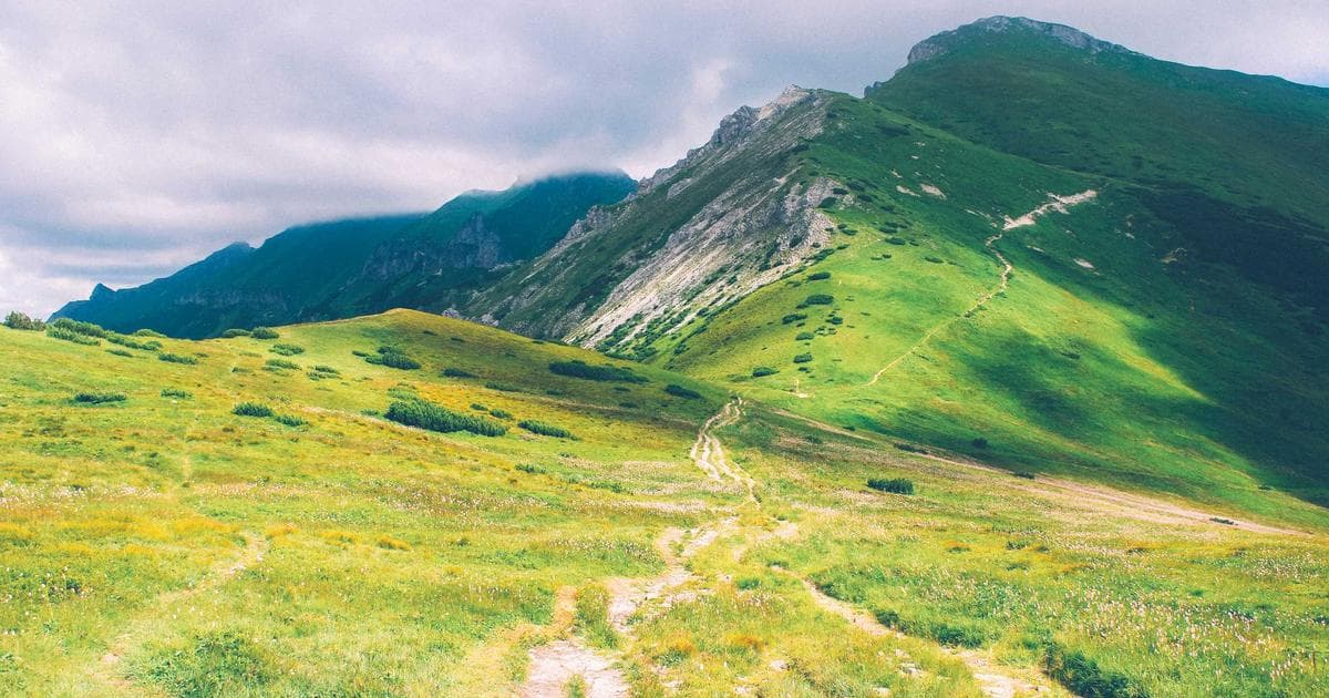 Unlocking Peak Performance: Server-Side WebAssembly with Node.js for Compute-Bound Tasks